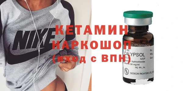 хмурый Аркадак