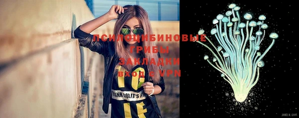 дмт Армянск