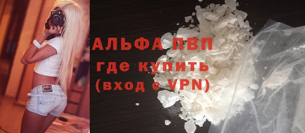 хмурый Аркадак