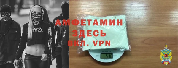 хмурый Аркадак