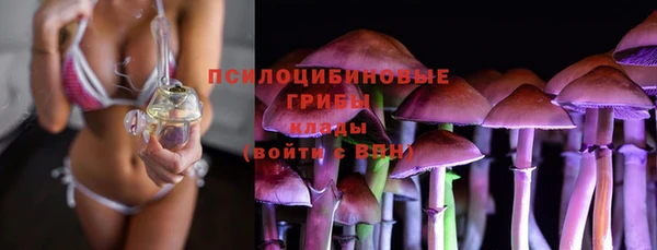 дмт Армянск