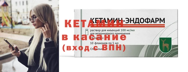 хмурый Аркадак
