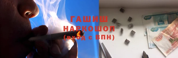 хмурый Аркадак