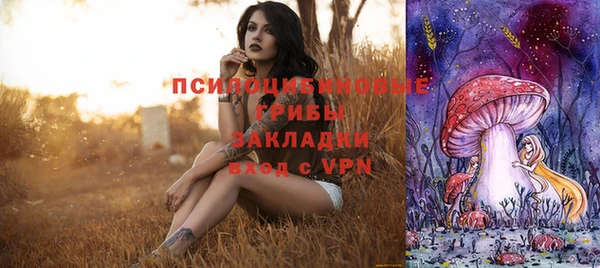 дмт Армянск
