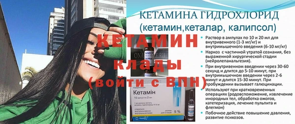 хмурый Аркадак