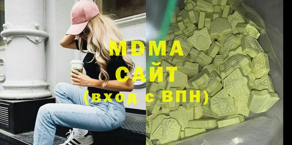 хмурый Аркадак