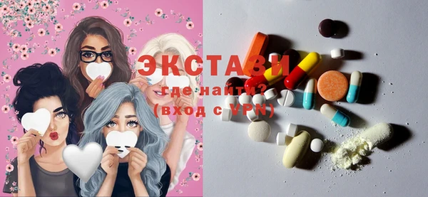хмурый Аркадак