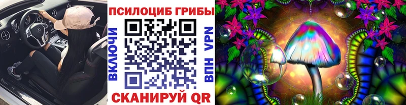 MEGA как войти  Пустошка  Псилоцибиновые грибы прущие грибы 